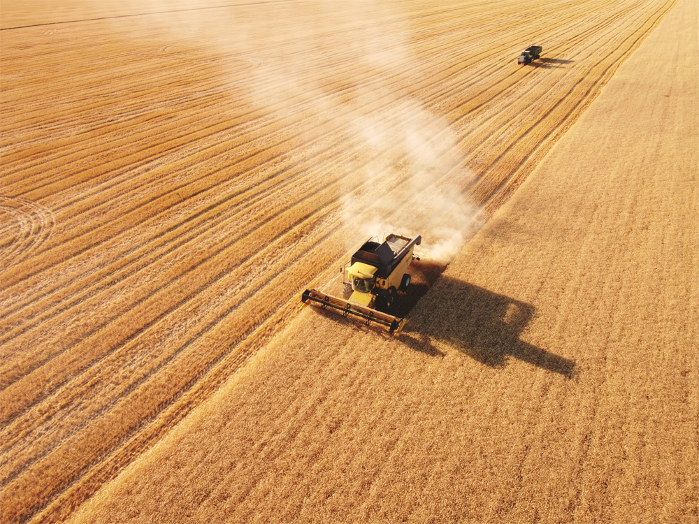 Agriculture